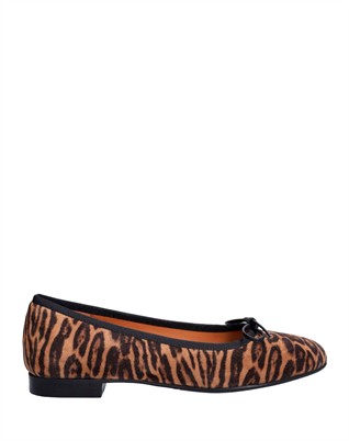 Leopardo Arabica Suede Ballerina